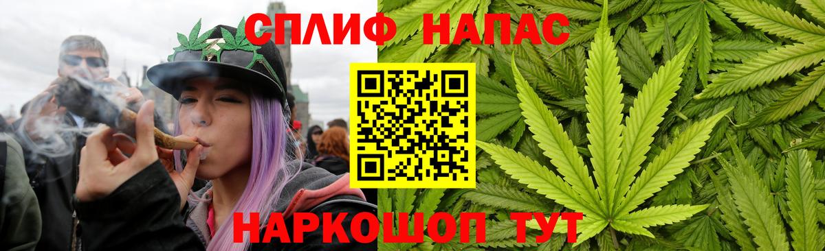 Конопля марихуана  Марихуана план  Каннабис VHQ  Каннабис гибрид  Кириши  Вход с VPN 